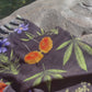 Garden Babe Boho Beach Cloth